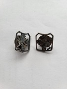 Odznaki odznaczenia patki