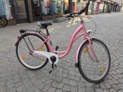 Rower miejski Dutch Goose Shabby 28 cali