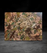 Taniec cienia i natury obraz abstrakcja 