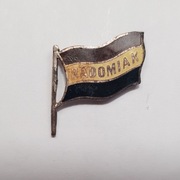 Radomiak Radom flaga