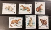 !!! POLSKA ZWIERZĘTA CHRONIONE 6szt... KOMPLETNA_SERIA...CZYSTE**!!!