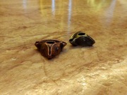 Koralik Kapelusz Pirata na brodę lub włosy 