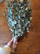 Witki brzozowe z dodatkiem ziół do sauny