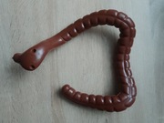 Jelito grube kostek szkielet ciało człowieka National Geographic