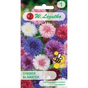 Chaber bławatek 1 op