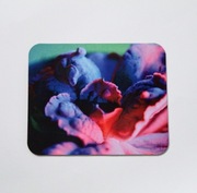 Podkładka pod mysz echeveria, podkładka pod myszkę z kwiatem, prezent