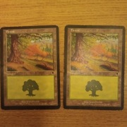 Forest (349) Odyssey MTG land