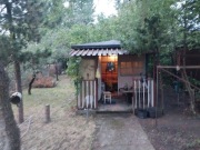 Działka ROD na terenie ogródków działkowych Warszawa Żerań