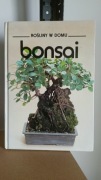 Bonsai - Rośliny w domu