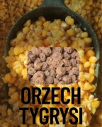 Kukurydza Orzech Tygrysi 1kg wędkarska zanęta przynęta