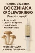 Płynna grzybnia Boczniaka królewskiego (Pleurotus eryngii) strzykawka 10 ml