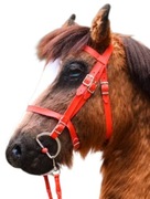 Hobby horse ogłowie dla hobby horse sprzęt dla hobby horse akcesoria