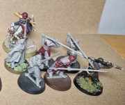 6x Haradrim warriors spear (1 niekompetny) + 1 Haradrim Rider 