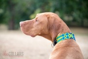 Colourful mexican dog collar, unique handcraft, XL