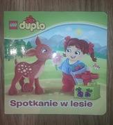 Spotkanie w lesie duplo