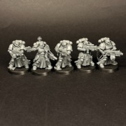 Space Marines Primaris Sternguard Veterans (10)
