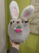 Pusheen zając wielkanocny wiosenny 