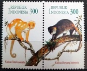 Fauna zwierzęta ssaki Indonezja