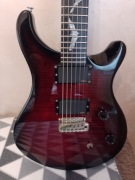 Gitara PRS Paul Allender, case