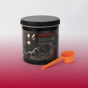 Equina Artisol Ultra 900g - regeneracja aparatu ruchu