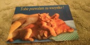 pocztówka lata 90 zwierzęta lwy lwica lwiątko kolekcjonerska unikat