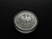 Kazimierz IV Jagielończyk półpostać