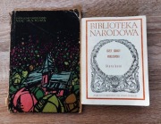 Józef Ignacy Kraszewski - Noc majowa / Stara baśń BN