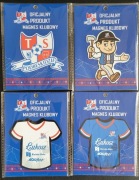 Oficjalny magnes TS Podbeskidzie Bielsko-Biała 4 rodzaje