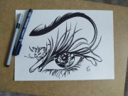  Rysunek: kot i oko - cienk. blok t. A4 250 g/m2