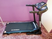 Bieżnia URBOGYM V520S