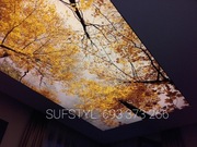 PRODUCENT Sufit napinany sufity napinane  JAKOŚĆ Q