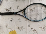 Wilson ultra seabird