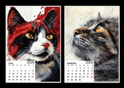 Kalendarz 2026 Koty 13x18 cm