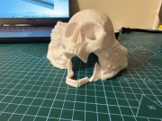 Jaskinia do terrarium dla pająka węża jaszczurki