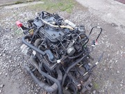 Skrzynia biegów PF6056 Renault Master III,Opel Movano 2.3dCi Bi-Turbo