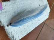 Mucha wędkarska 25 cm