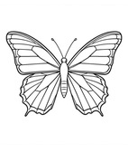 Kolorowanka Zwierzątek 