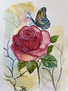 Obraz, akwarela, Róża i motyl, ogród, format a4