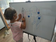 Tablica suchościeralna, dwustronna, magnetyczna