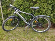 Rower Leader Fox Ride Pro Factor 18"