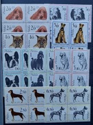 Seria Rasy psów** czwórki wyd.1963 r. Polska lux