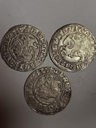 .Zygmunt I Stary, półgrosze Wilno zestaw 3 sztuki