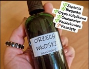 Kuracja Hulda Clark ORZECH WŁOSKI 100 ml zioła na pasożyty