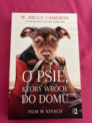 Książka o psie który wrócił do domu