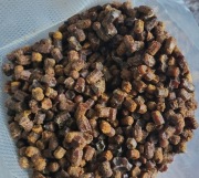 Pierzga Pszczela 500 gram 