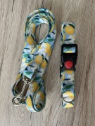 Komplet smycz + obroża