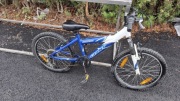 Rower Giant 20 MTX 200