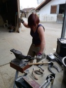 Podkuwanie/werkowanie koni