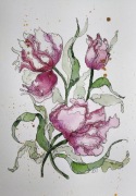 Akwarele A4 tulipany 
