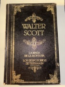 W.Scott - La maga de la montana